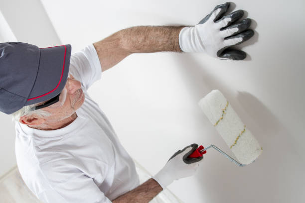 Colstrip, MT Mold Removal Company
