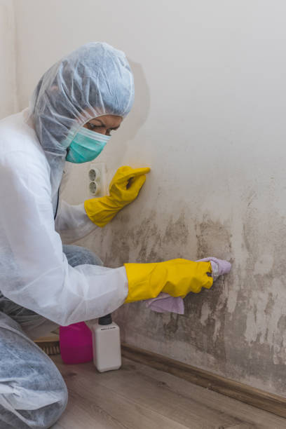 Best Forensic Mold Investigation  in Colstrip, MT