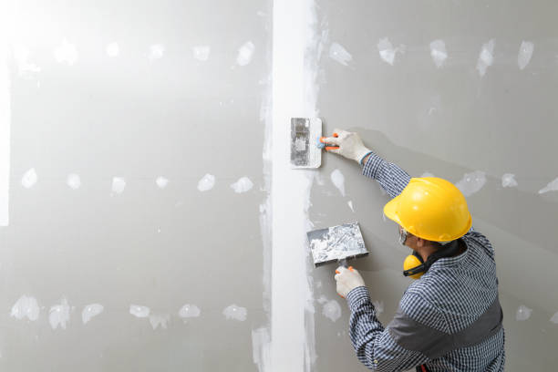 Best Mold Damage Restoration  in Colstrip, MT