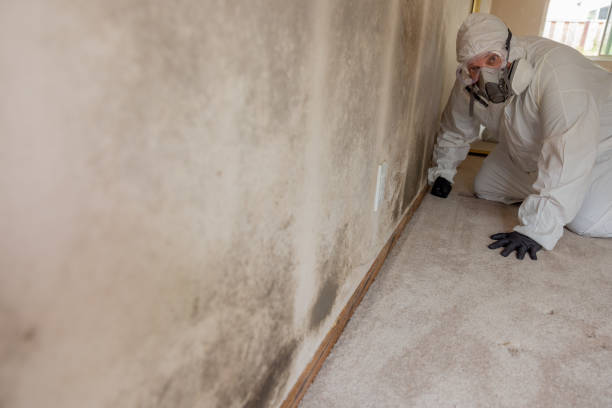Best Airborne Mold Testing  in Colstrip, MT